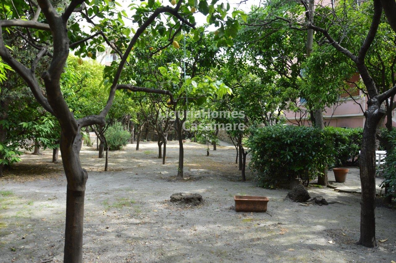 6 Bed Villa, Via al Mercato, Bordighera — Photo 3 (Bordighera, Liguria)