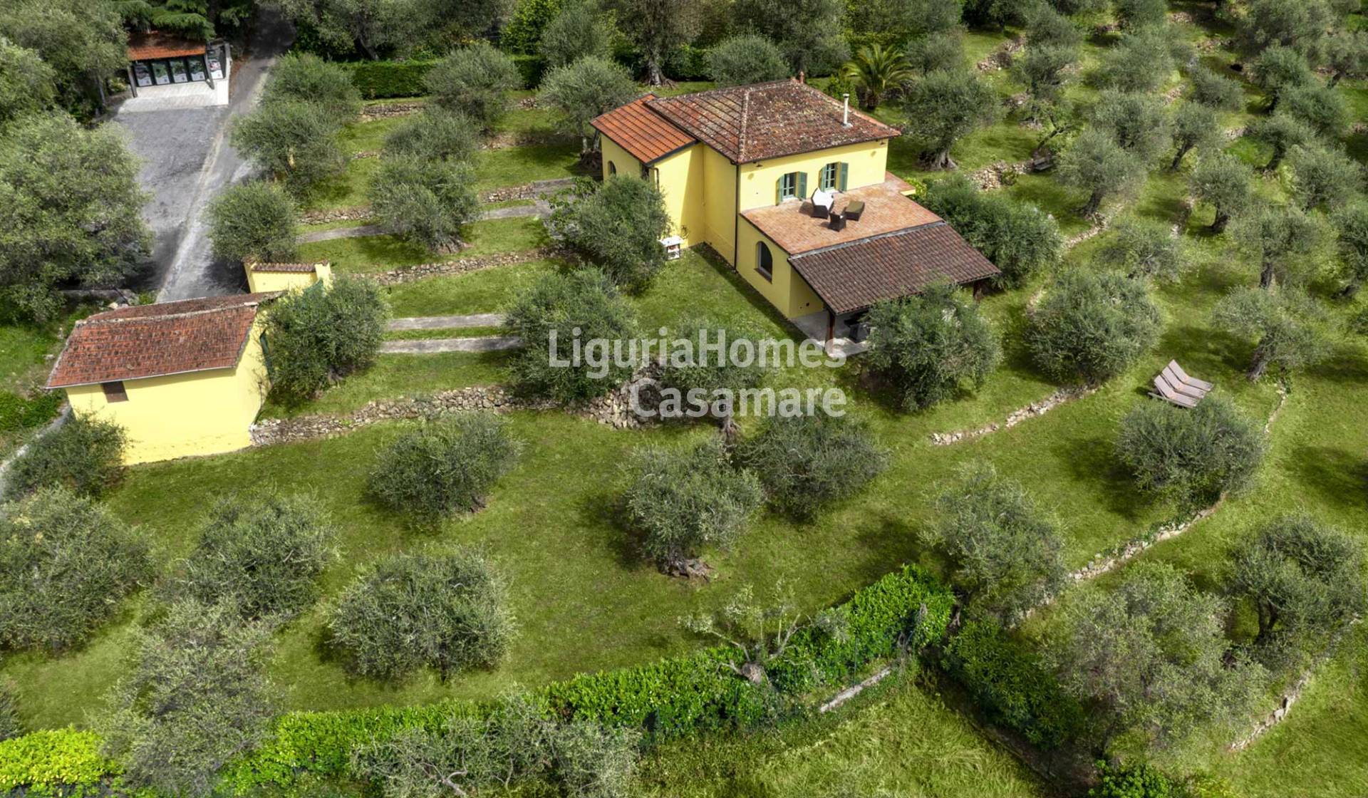 3 Bed Country Villa with 105-Tree Olive Grove, San Martino, Soldano