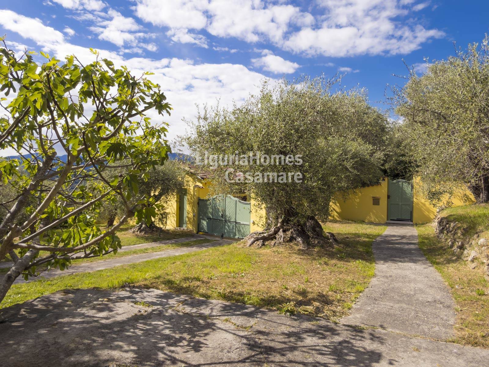 3 Bed Villa, Frazione San Martino, Soldano — Photo 6 (Soldano, Liguria)